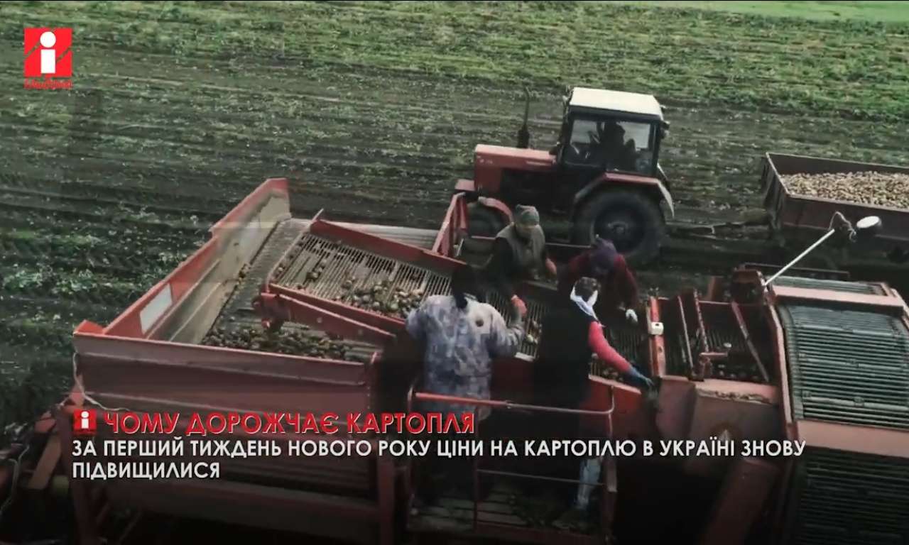 За перший тиждень нового року ціни на картоплю в Україні знову підвищилися (ВІДЕО)